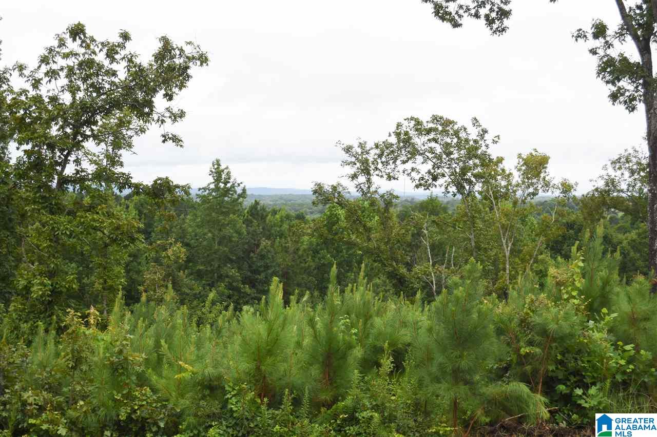 313 County Road 437 Heflin, AL 36264 - Photo 47 of 49