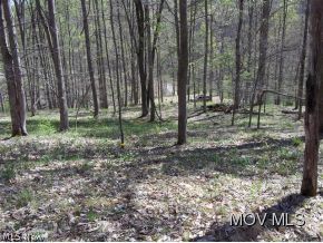 0 C Road New Milton, WV 26411 - Photo 9 of 15