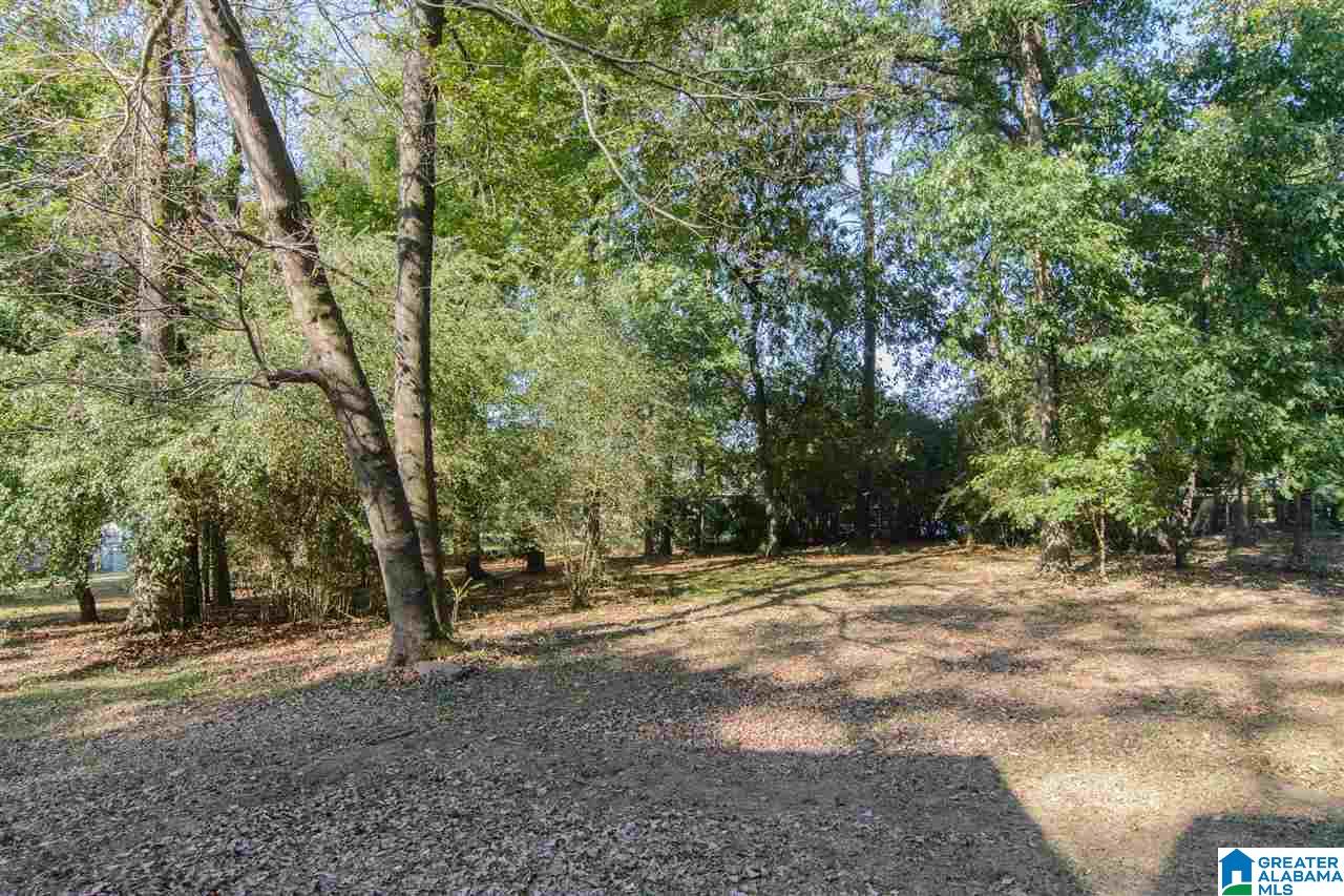 4738 Caldwell Mill Road Birmingham, AL 35243 - Photo 41 of 41