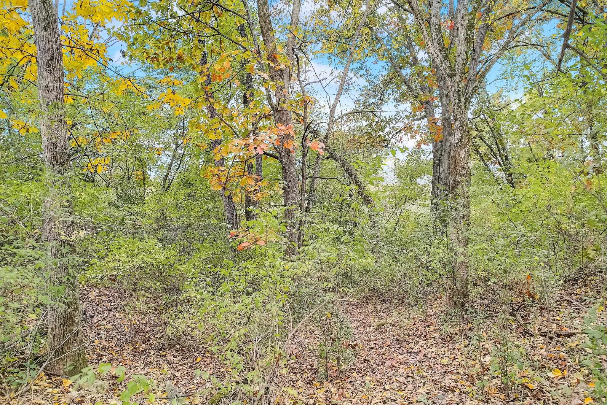 L75 Pond View Janesville, WI 53548 - Photo 13 of 56