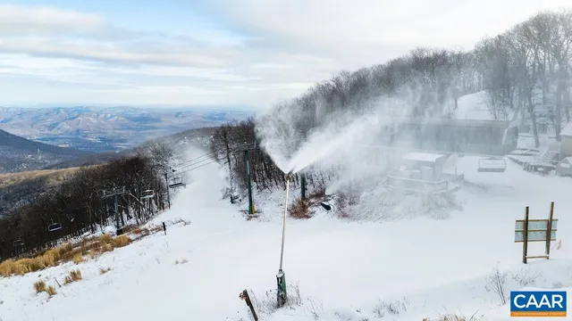 $425,000 | 1411 Highlands Condos, Roseland, VA 22967