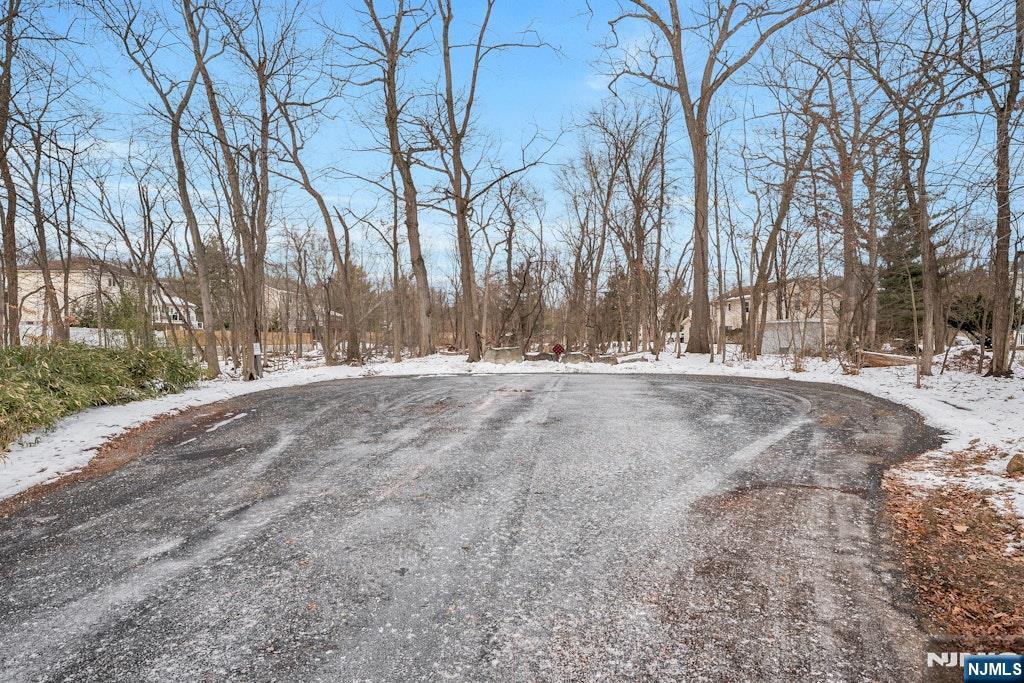 28 North Street Ramsey, NJ 07446 - Photo 46 of 50 a view of dirt field and trees