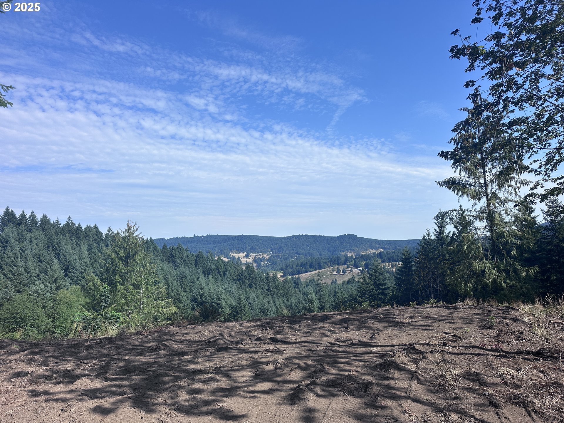 39323 Southwest Gibson Road Gaston, OR 97119 - Photo 1 of 8 a view of a dry yard with trees