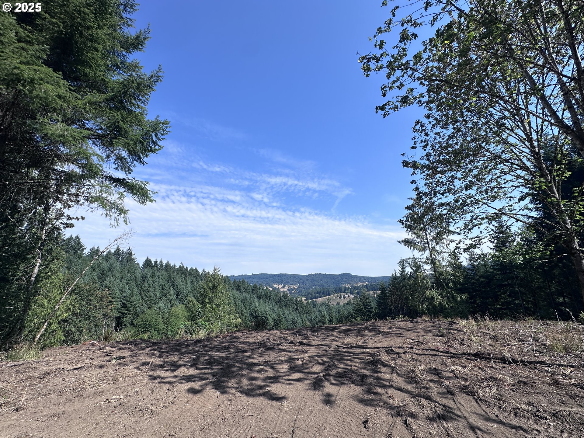 39323 Southwest Gibson Road Gaston, OR 97119 - Photo 2 of 8 a view of a dry yard with trees