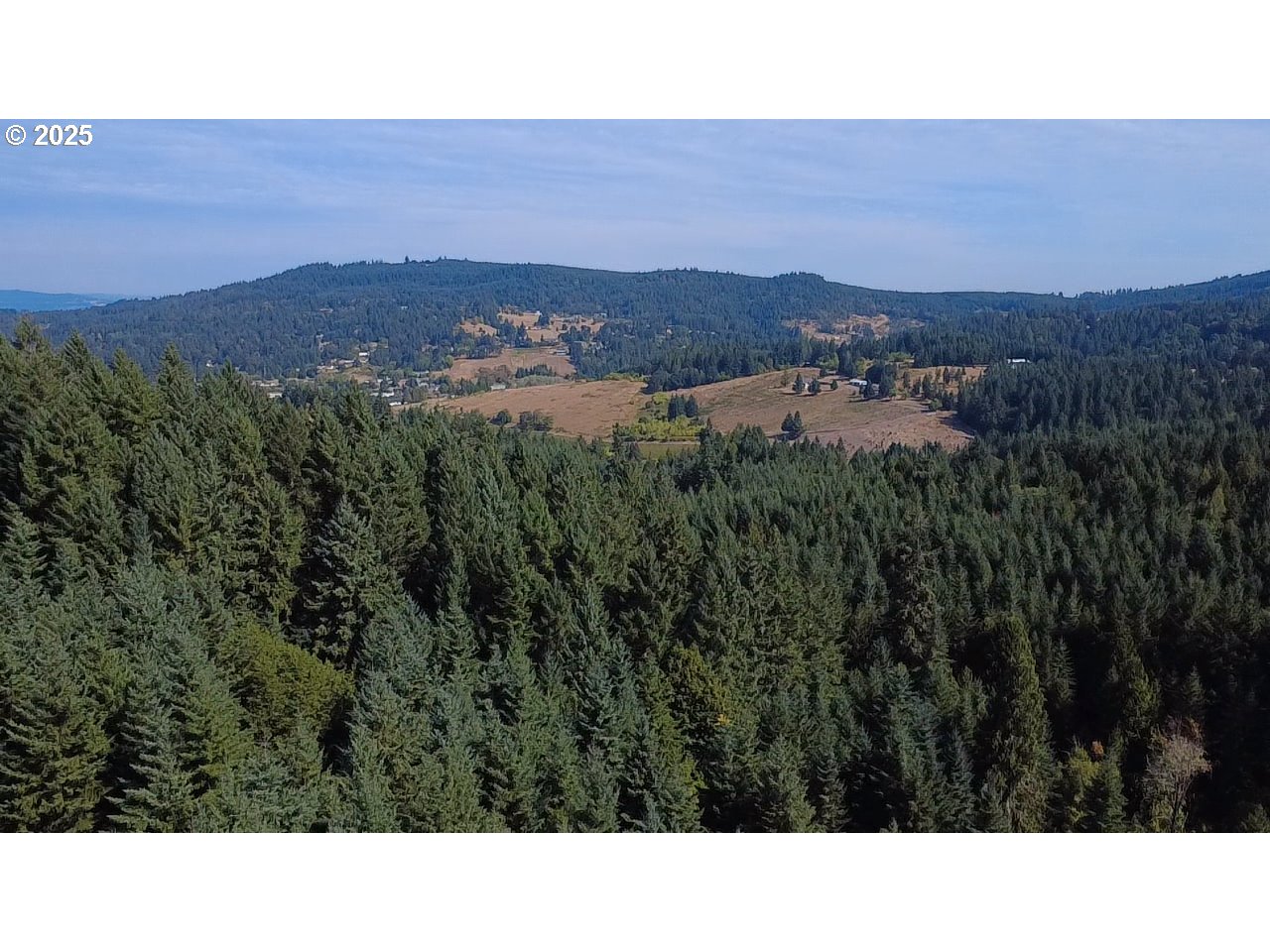 39323 Southwest Gibson Road Gaston, OR 97119 - Photo 4 of 8 a black and white photo of a green field