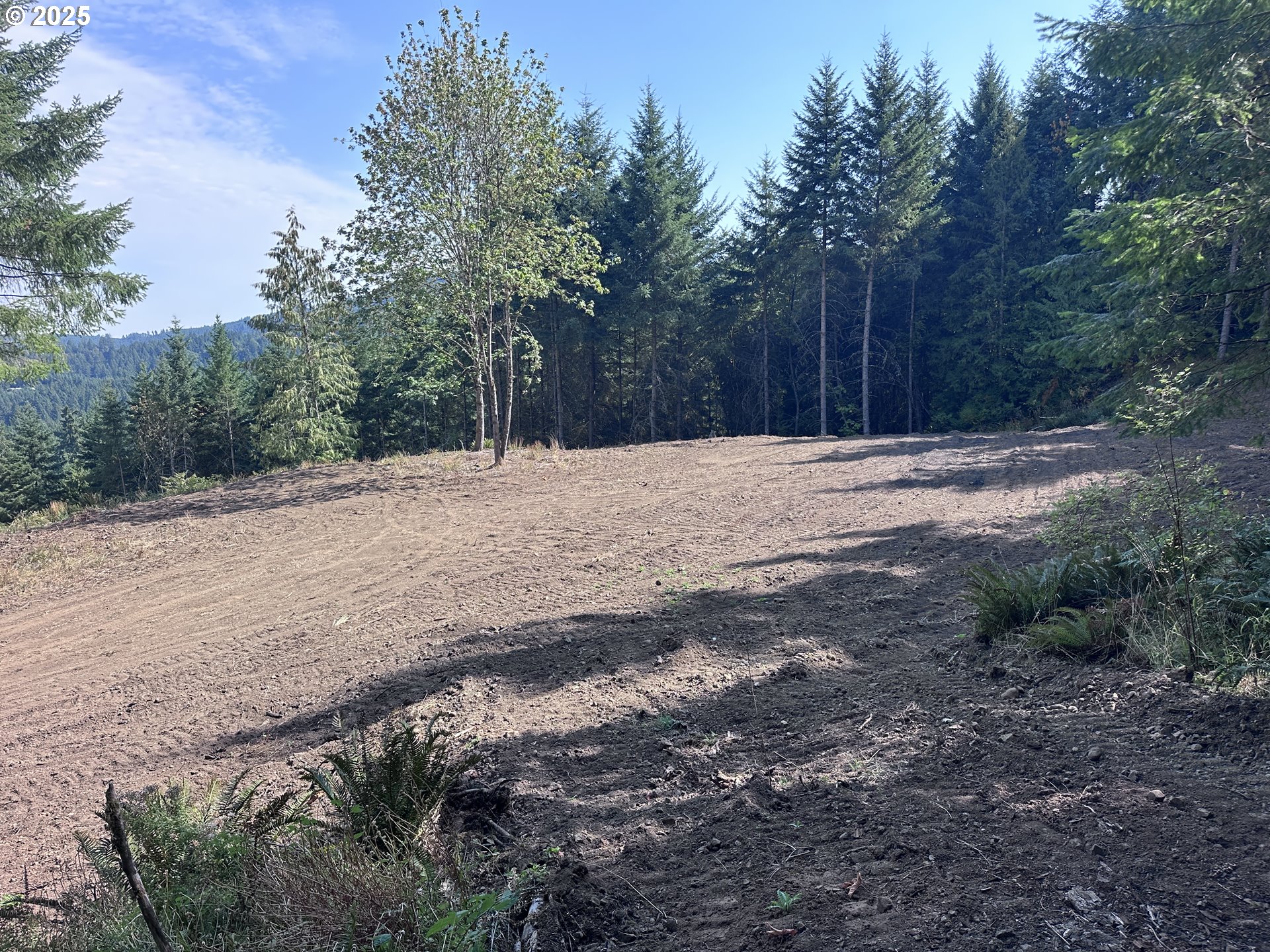 39323 Southwest Gibson Road Gaston, OR 97119 - Photo 6 of 8