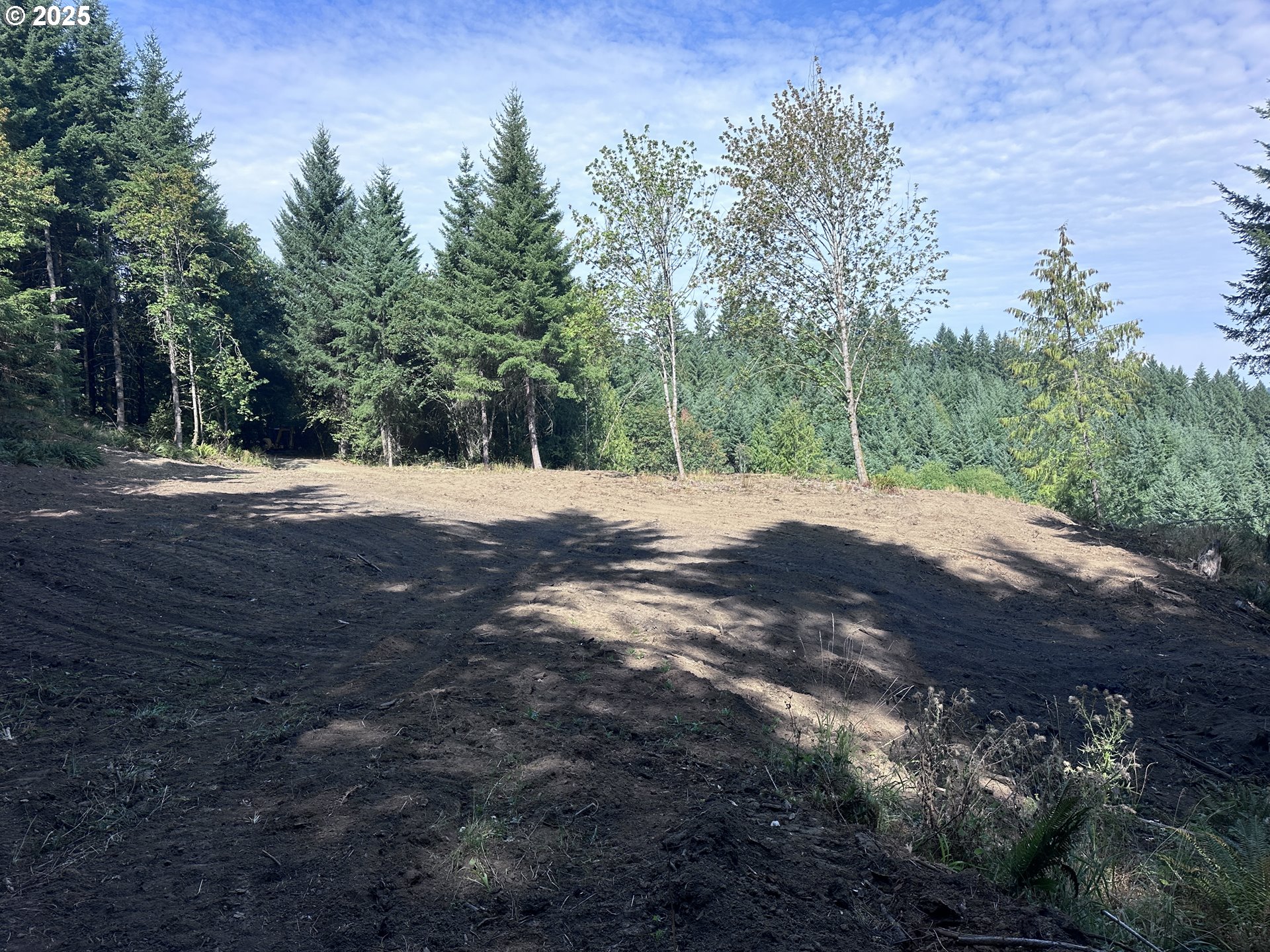 39323 Southwest Gibson Road Gaston, OR 97119 - Photo 7 of 8 a big yard with trees in the background