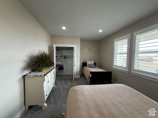 1240 West 2360 North Helper, UT 84526 - Photo 66 of 79 Bedroom with a closet, a walk in closet, dark colored carpet, baseboards, and recessed lighting
