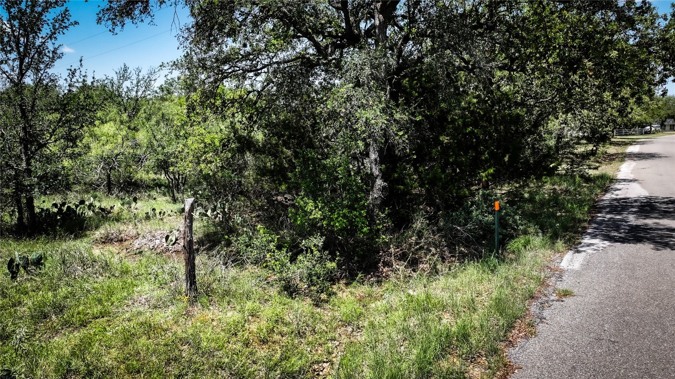 304 North Chaparral Burnet, TX 78611 - Photo 11 of 24 a view of a garden with plants and large trees