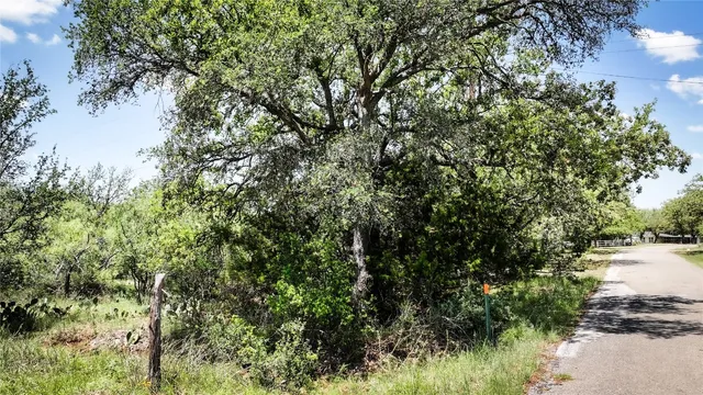 a view of a street with a tree