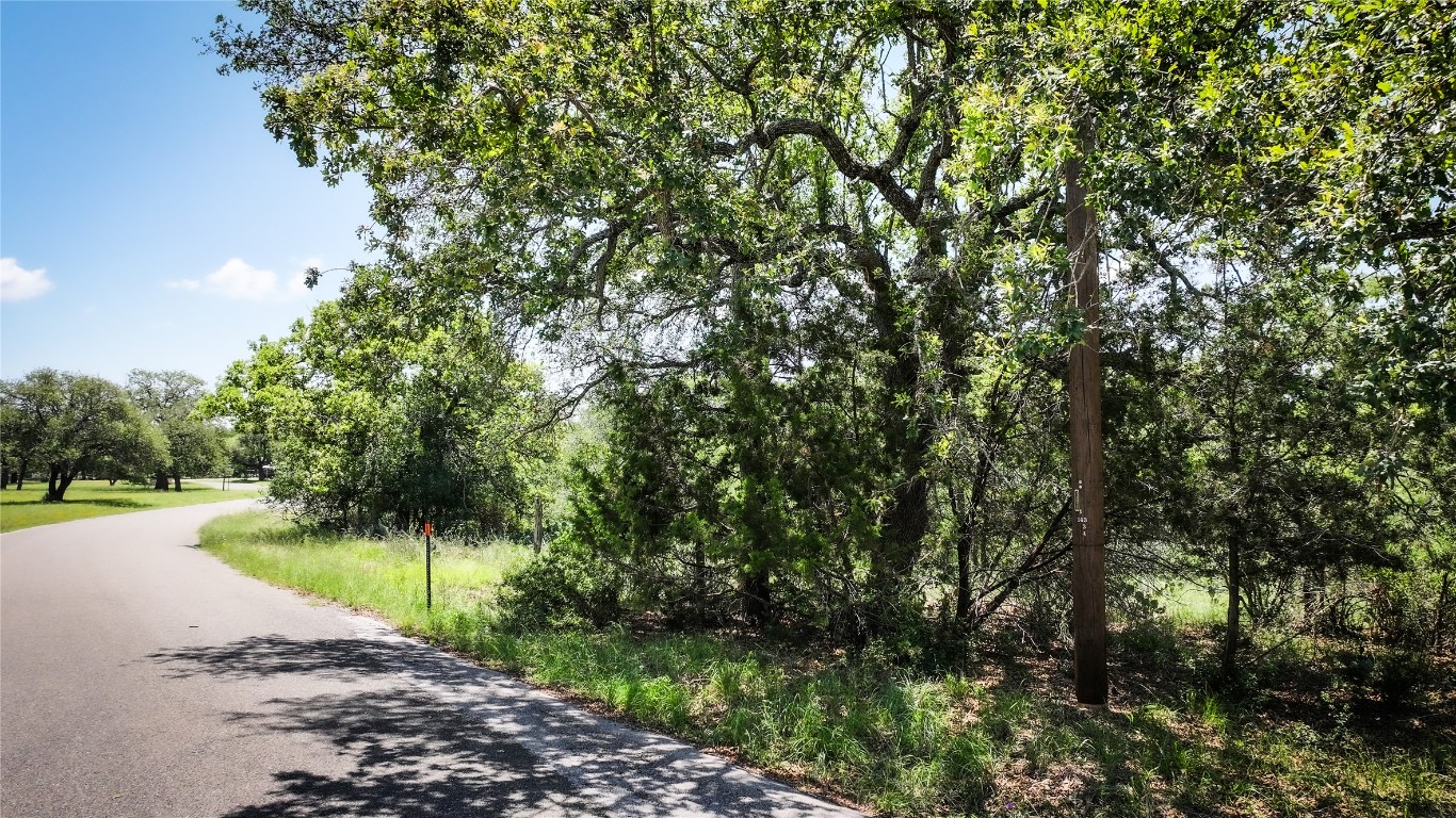304 North Chaparral Burnet, TX 78611 - Photo 13 of 24 a view of a street with a tree