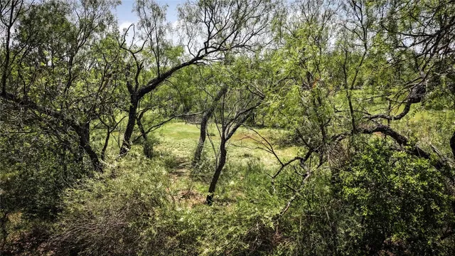 a big yard with lots of green space and deers