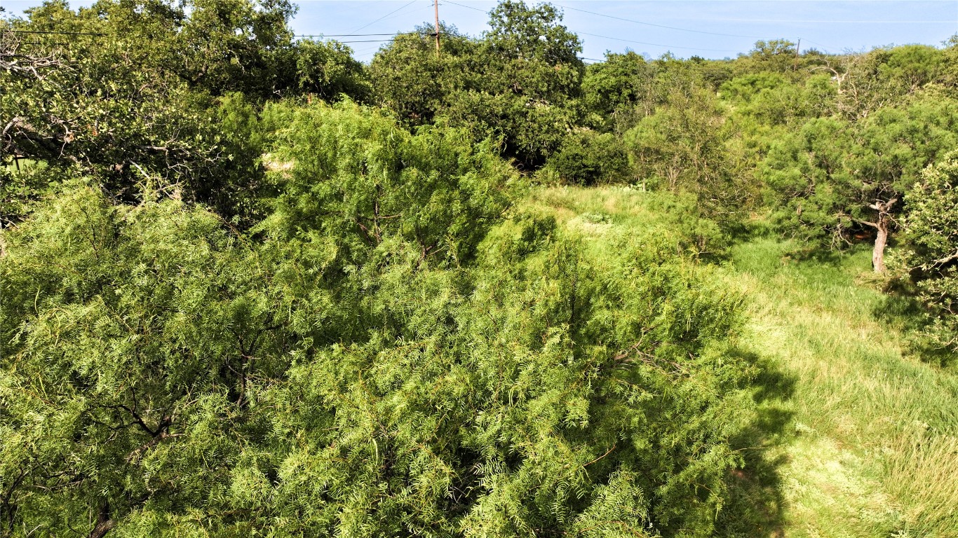 304 North Chaparral Burnet, TX 78611 - Photo 18 of 24 a view of a lush green forest with houses