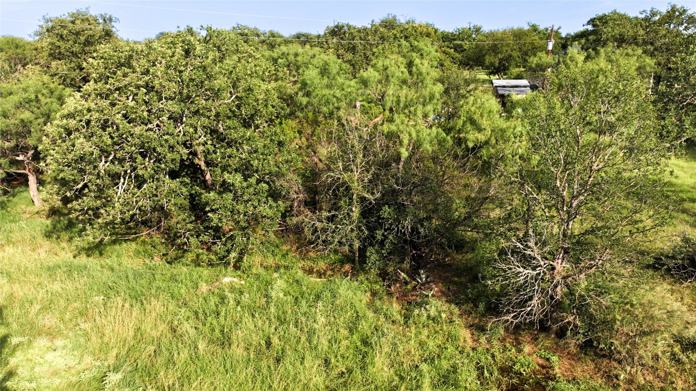304 North Chaparral Burnet, TX 78611 - Photo 19 of 24 a view of a forest with a tree