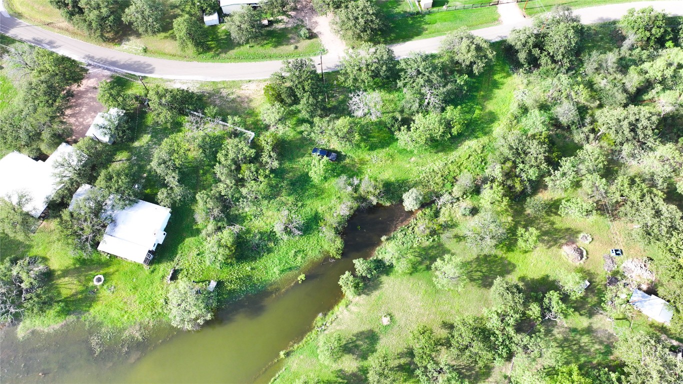 304 North Chaparral Burnet, TX 78611 - Photo 2 of 24 a close up of a flower in a garden