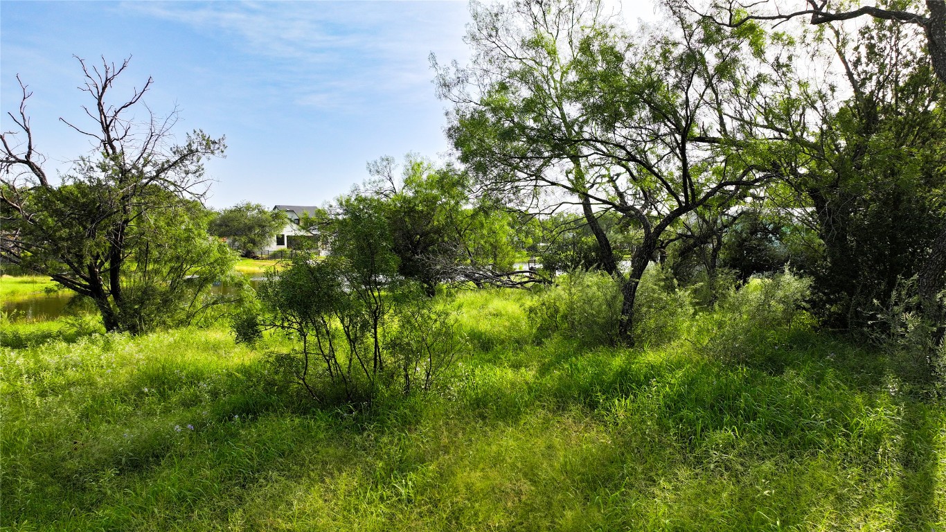 304 North Chaparral Burnet, TX 78611 - Photo 21 of 24 a view of a lush green space