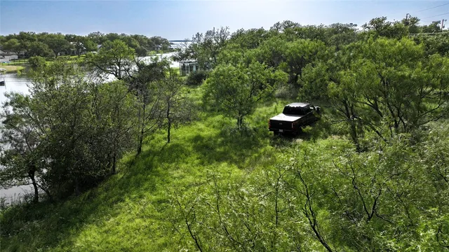 a view of a garden with plants and large trees