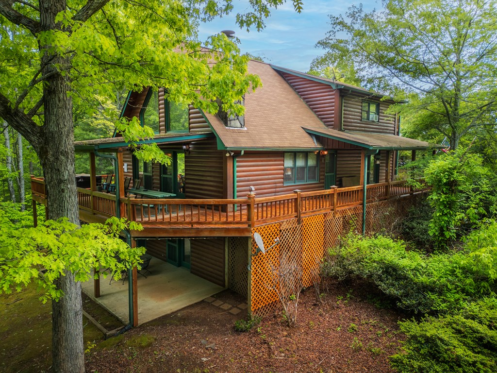 1600 My Mountain Road Morganton, GA 30560 - Photo 2 of 44