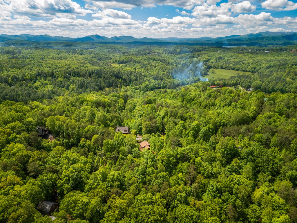 1600 My Mountain Road Morganton, GA 30560 - Photo 41 of 44