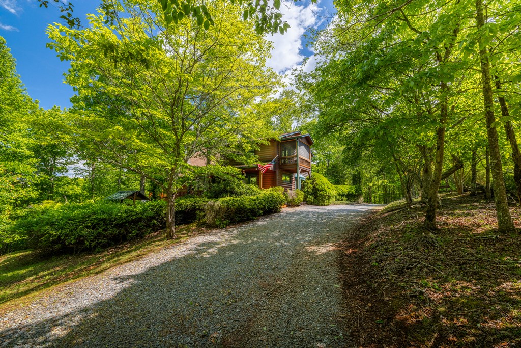 1600 My Mountain Road Morganton, GA 30560 - Photo 42 of 44