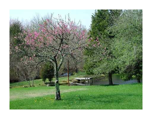 200 Dye Hill Road Hopkinton, RI 02832 - Photo 17 of 20 Other. peach tree