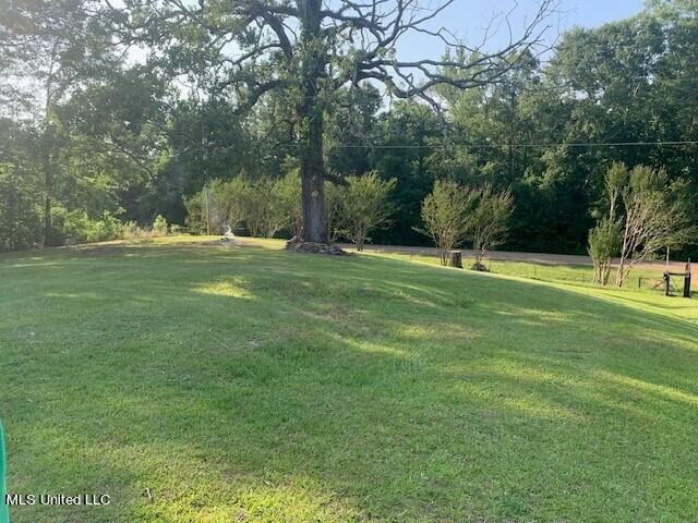 10707 Lebanon Pinegrove Road Terry, MS 39170 - Photo 3 of 9 pic 3