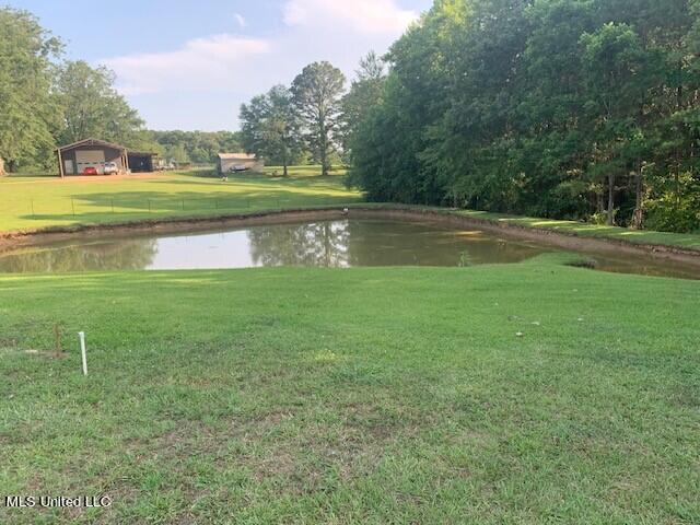 10707 Lebanon Pinegrove Road Terry, MS 39170 - Photo 6 of 9 pic 6