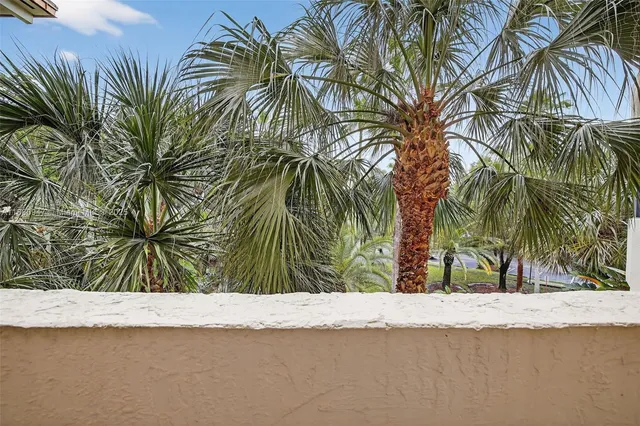 a view of beach and palm trees