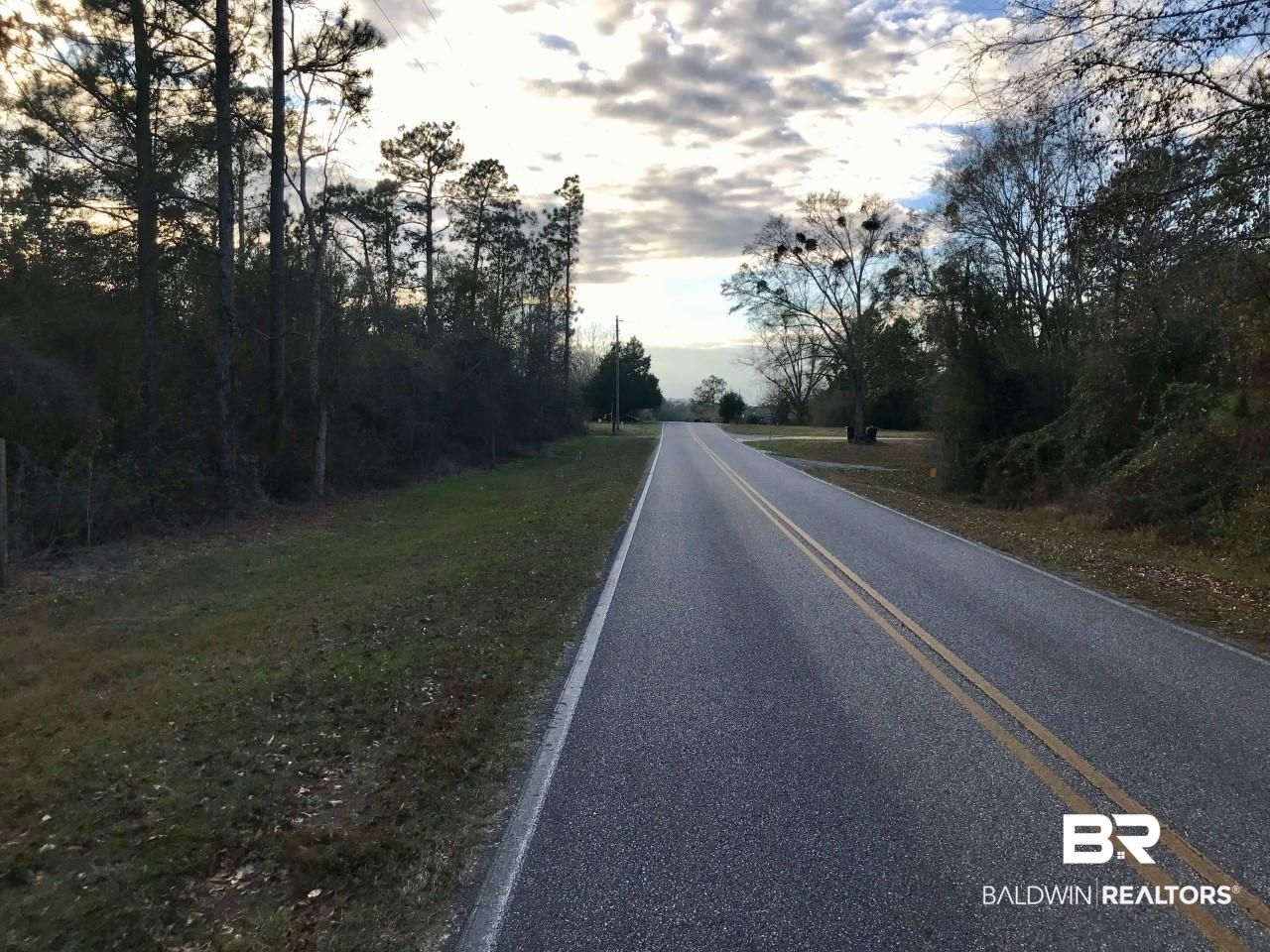 2 Modelle Bryars Road Perdido, AL 36562 - Photo 2 of 3 West View