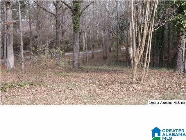 165 Bo Coffee Road Ashville, AL 35953 - Photo 28 of 31