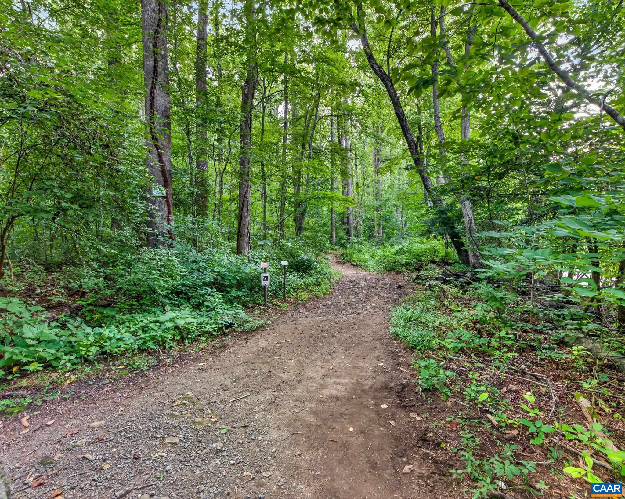 329 Jones Mountain Road Madison, VA 22727 - Photo 38 of 47 Gallery Image 38