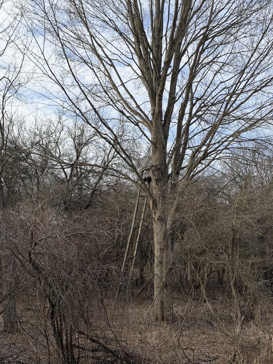 Vl Harper Road Holt, MI 48842 - Photo 1 of 45 IMG_2676