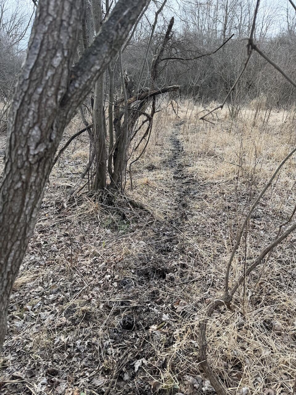 Vl Harper Road Holt, MI 48842 - Photo 11 of 45 IMG_2674