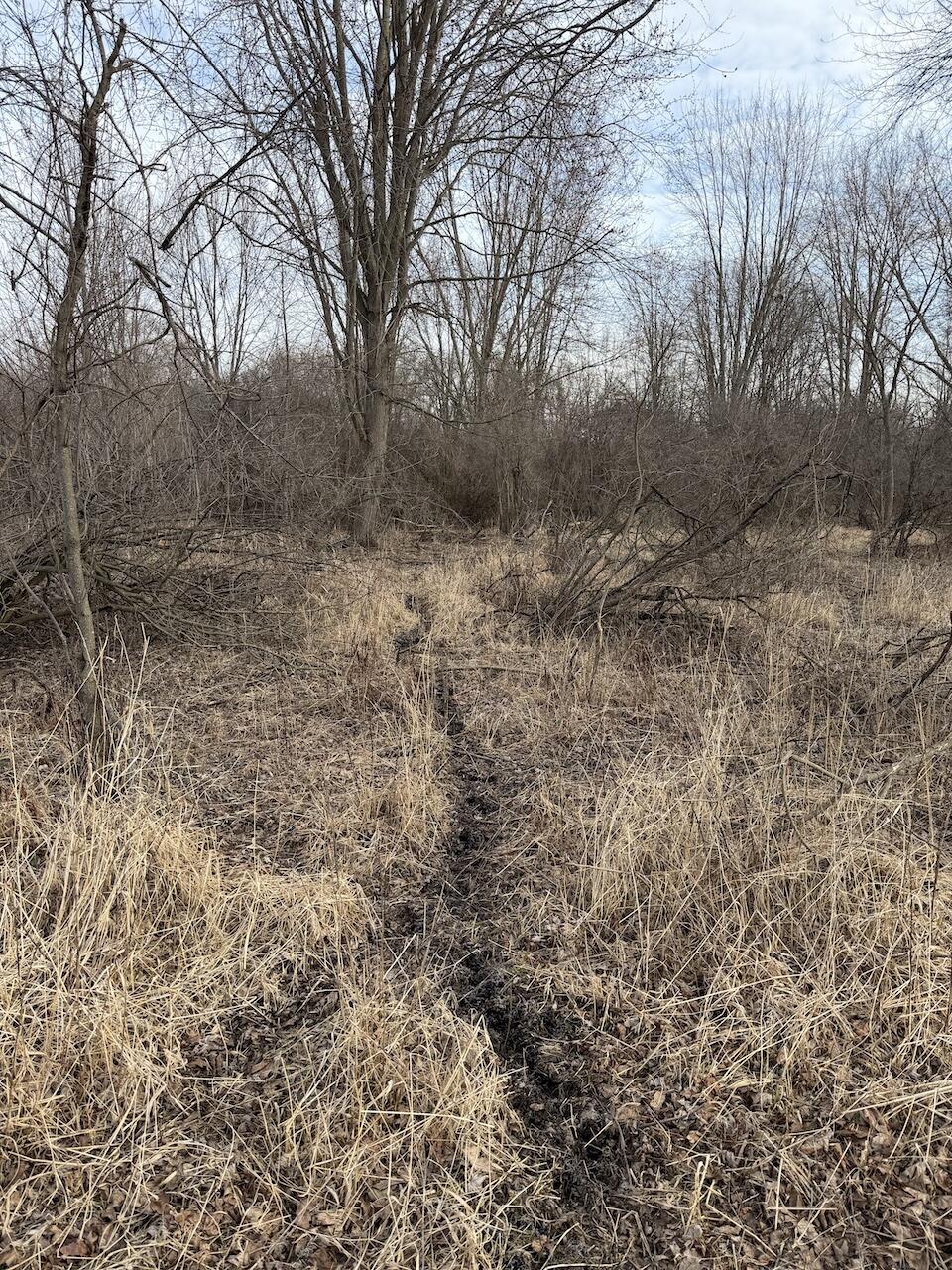 Vl Harper Road Holt, MI 48842 - Photo 12 of 45 IMG_2673