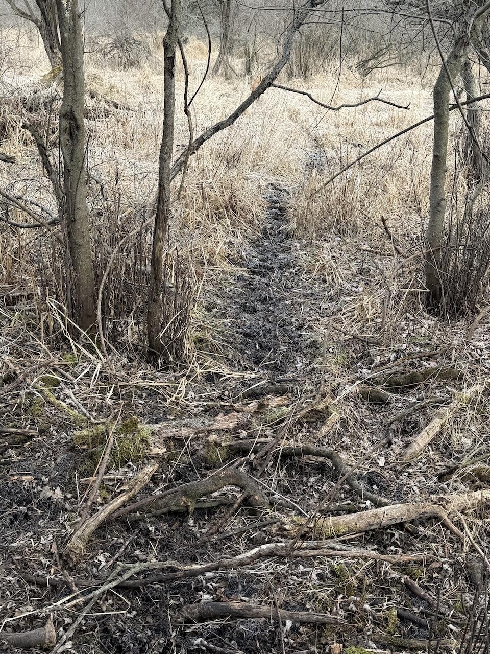 Vl Harper Road Holt, MI 48842 - Photo 15 of 45 IMG_2669