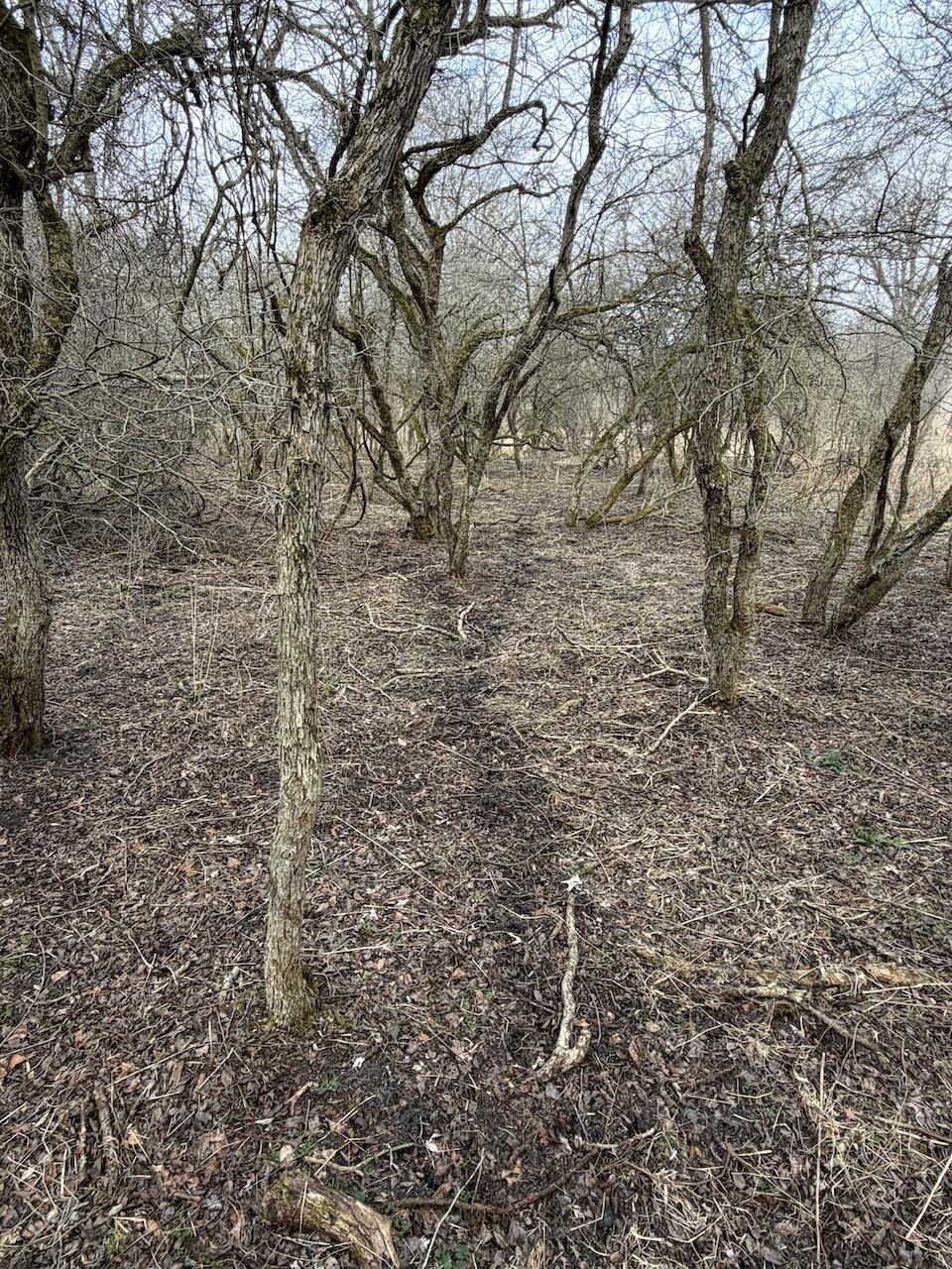 Vl Harper Road Holt, MI 48842 - Photo 17 of 45 IMG_2665