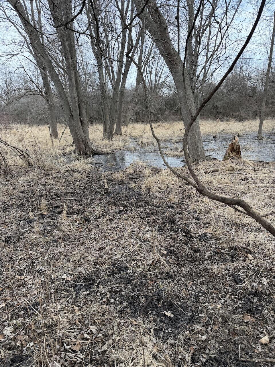 Vl Harper Road Holt, MI 48842 - Photo 18 of 45 IMG_2658