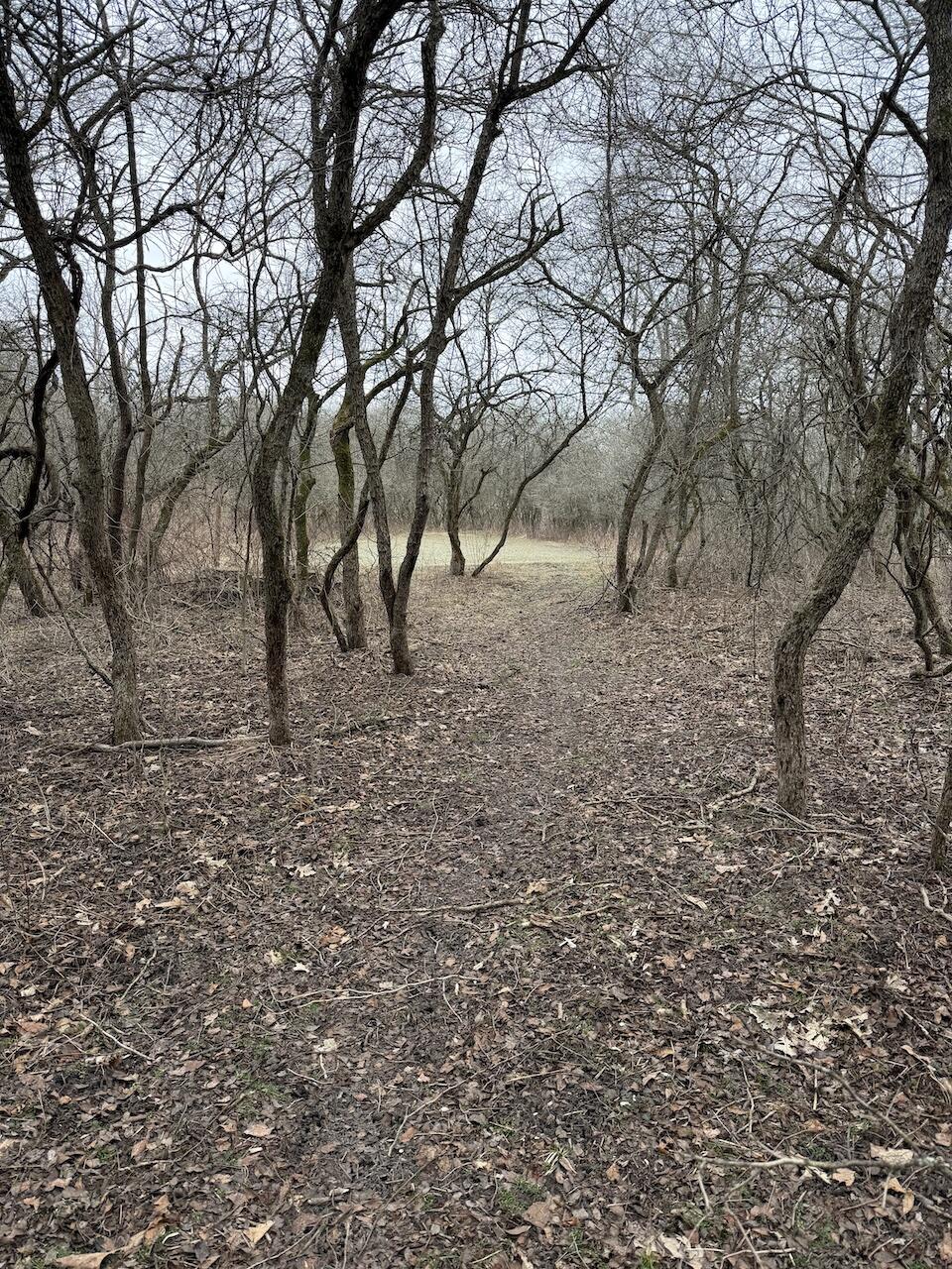 Vl Harper Road Holt, MI 48842 - Photo 19 of 45 IMG_2649