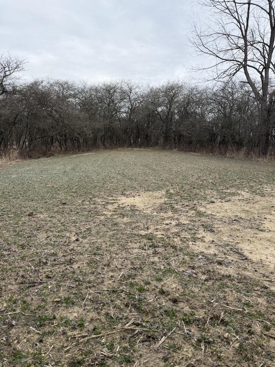 Vl Harper Road Holt, MI 48842 - Photo 2 of 45 IMG_2653