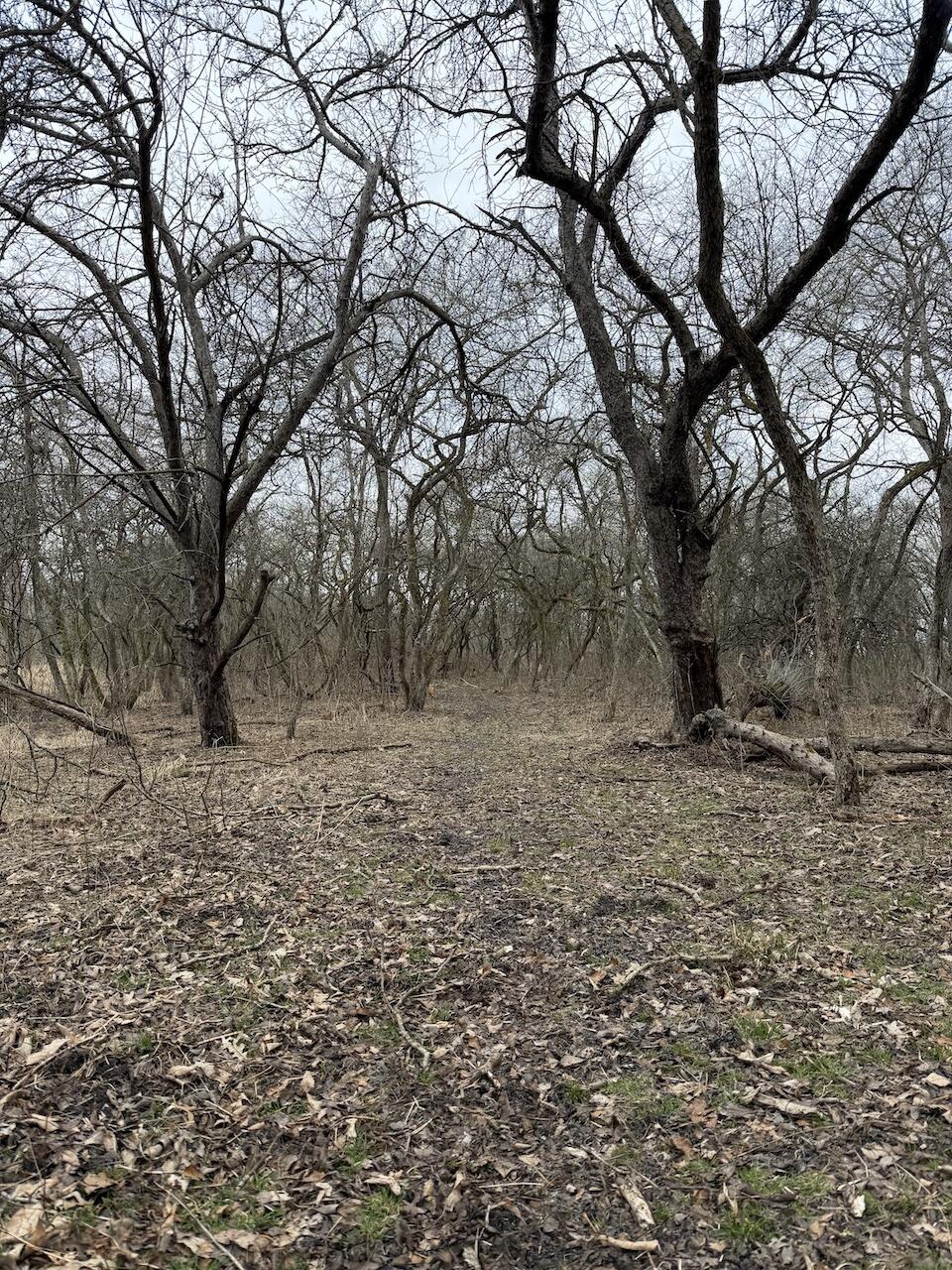 Vl Harper Road Holt, MI 48842 - Photo 21 of 45 IMG_2646