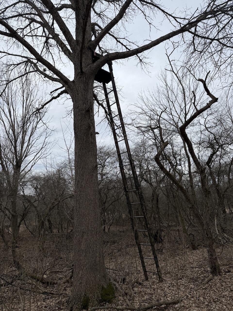 Vl Harper Road Holt, MI 48842 - Photo 22 of 45 IMG_2645