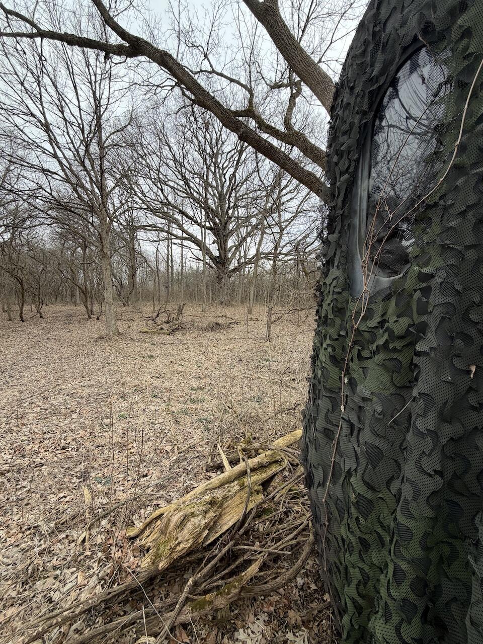 Vl Harper Road Holt, MI 48842 - Photo 23 of 45 IMG_2643