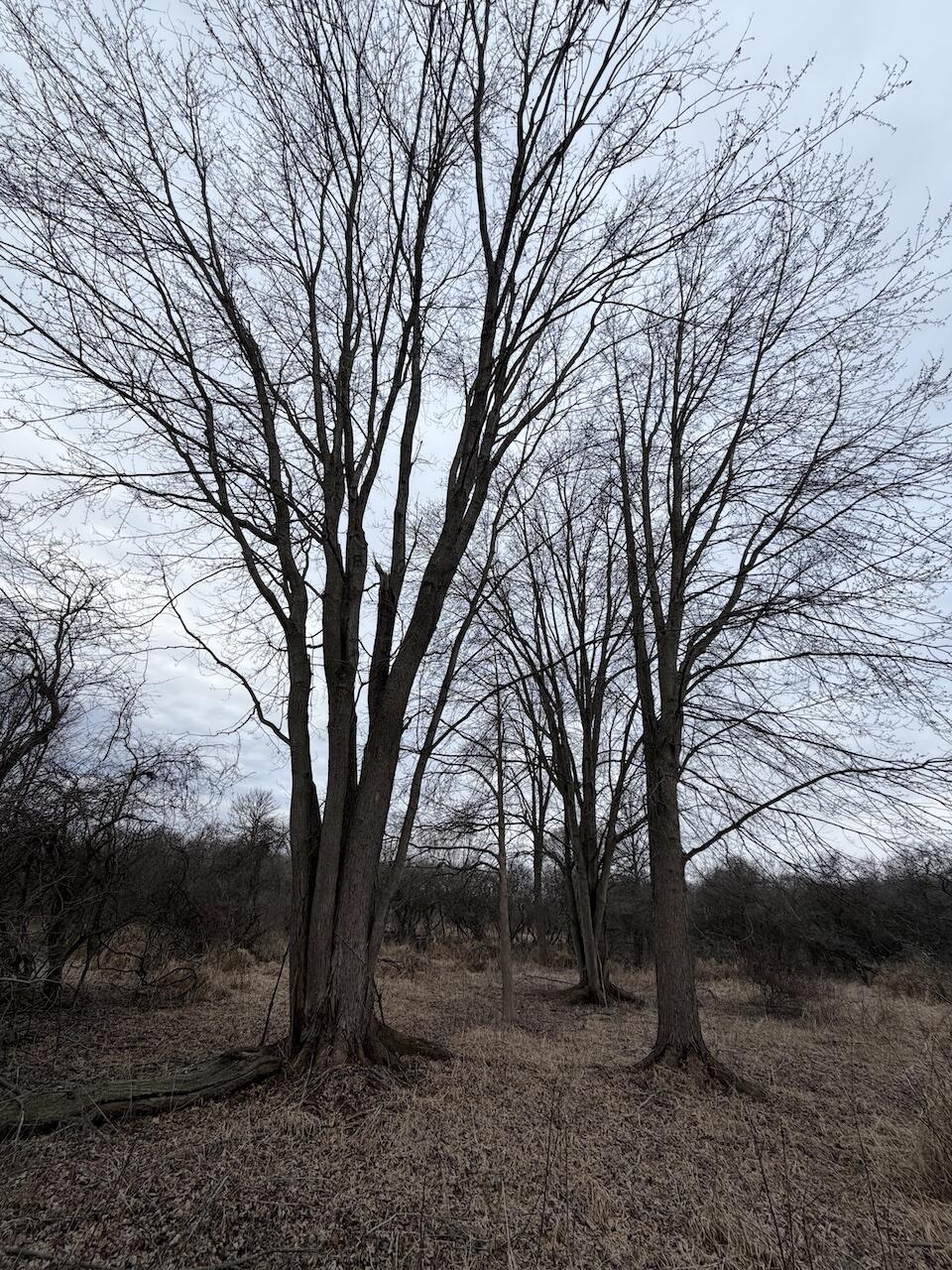 Vl Harper Road Holt, MI 48842 - Photo 25 of 45 IMG_2632