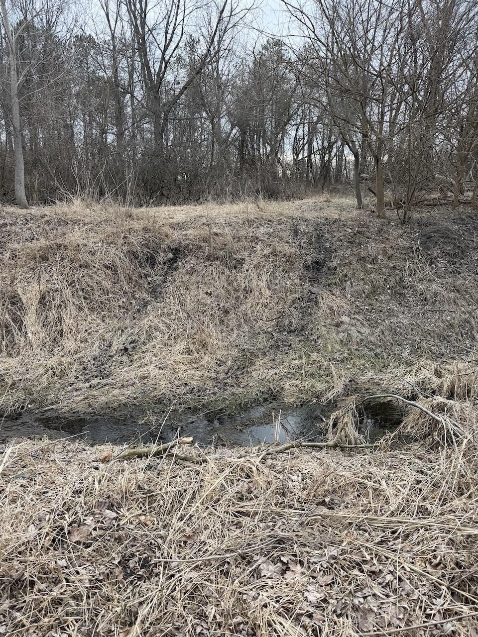 Vl Harper Road Holt, MI 48842 - Photo 26 of 45 IMG_2631