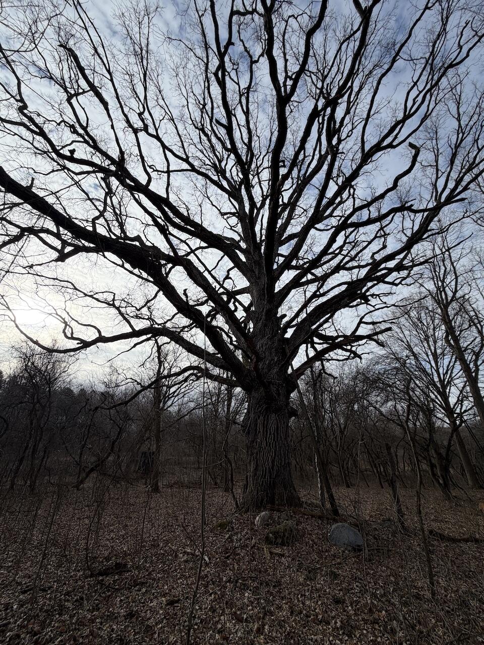 Vl Harper Road Holt, MI 48842 - Photo 27 of 45 IMG_2680