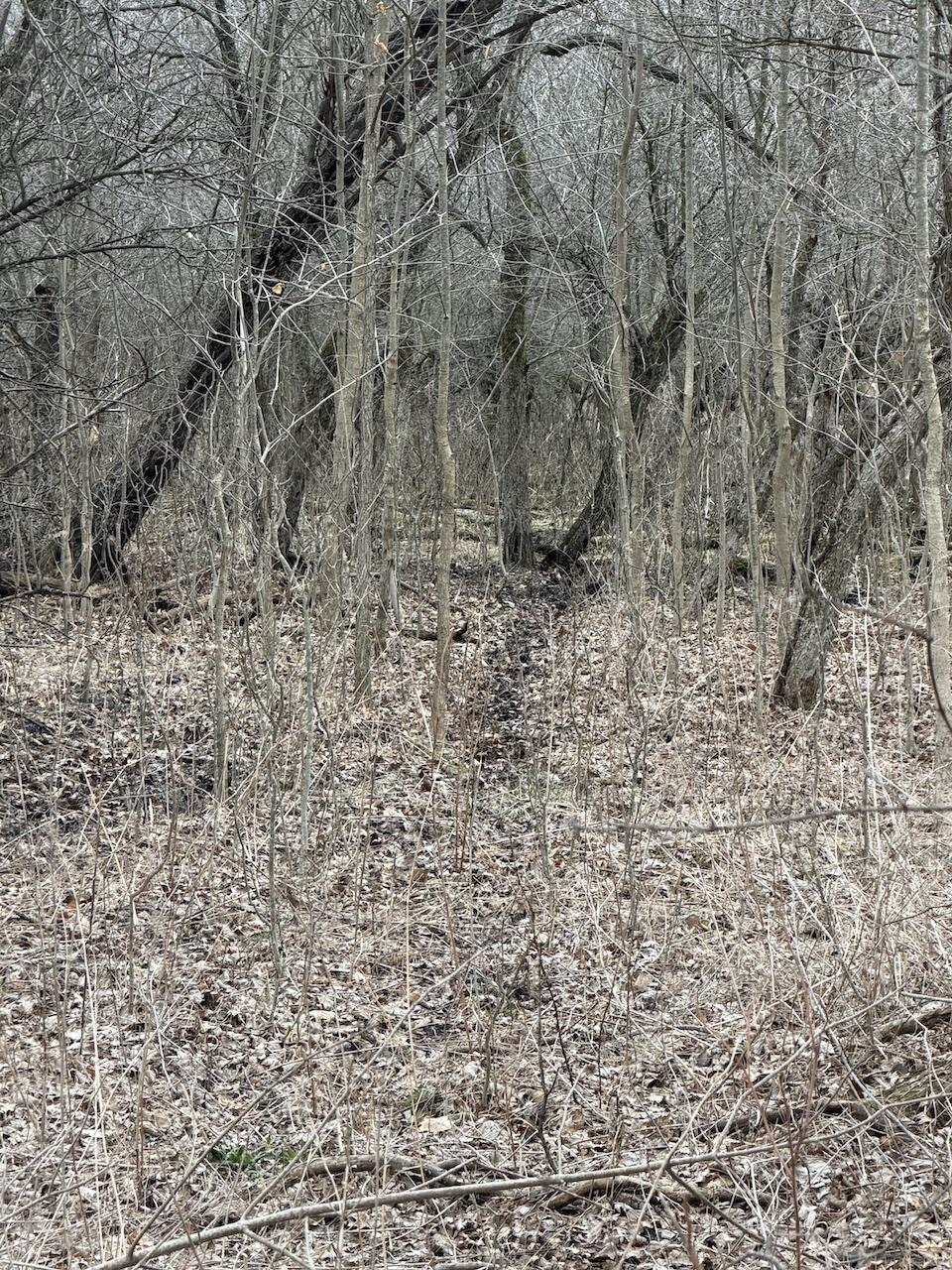 Vl Harper Road Holt, MI 48842 - Photo 30 of 45 IMG_2625