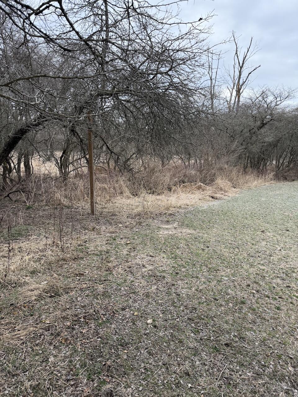 Vl Harper Road Holt, MI 48842 - Photo 3 of 45 IMG_2651