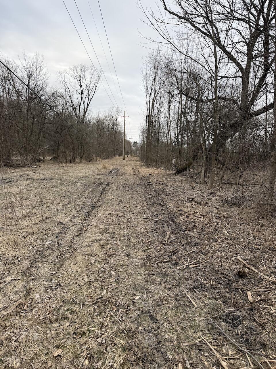 Vl Harper Road Holt, MI 48842 - Photo 31 of 45 IMG_2623