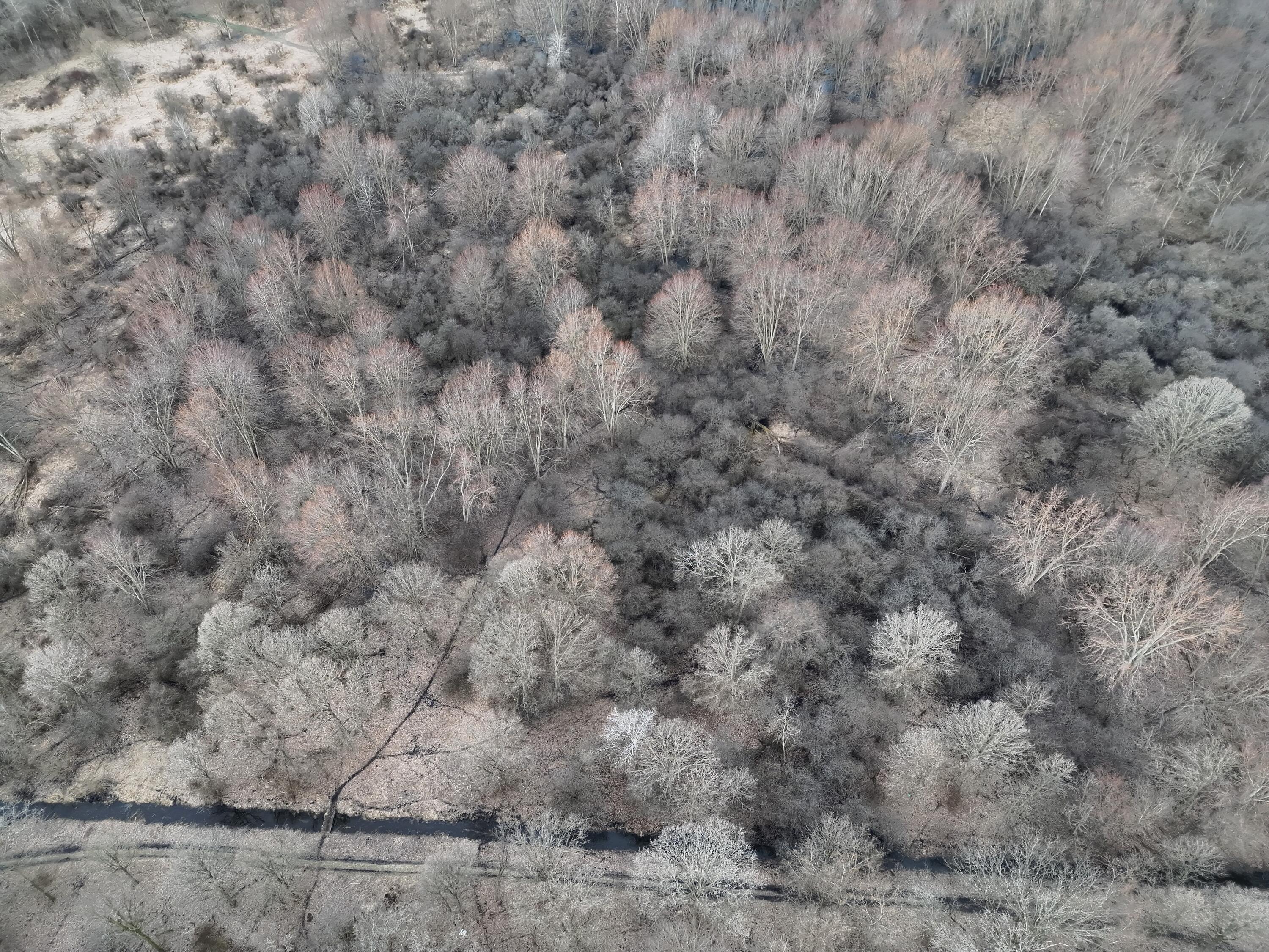 Vl Harper Road Holt, MI 48842 - Photo 35 of 45 Pic 8