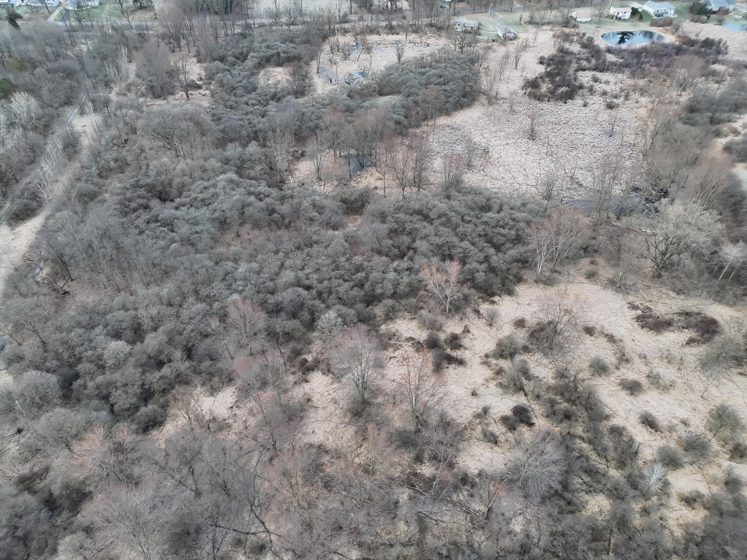 Vl Harper Road Holt, MI 48842 - Photo 40 of 45 Pic 3